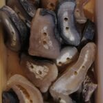 Knopf aus Schafhorn, mittlere Größe