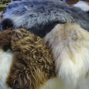 Felle und wollige Produkte im Hofladen Schafhof Haby