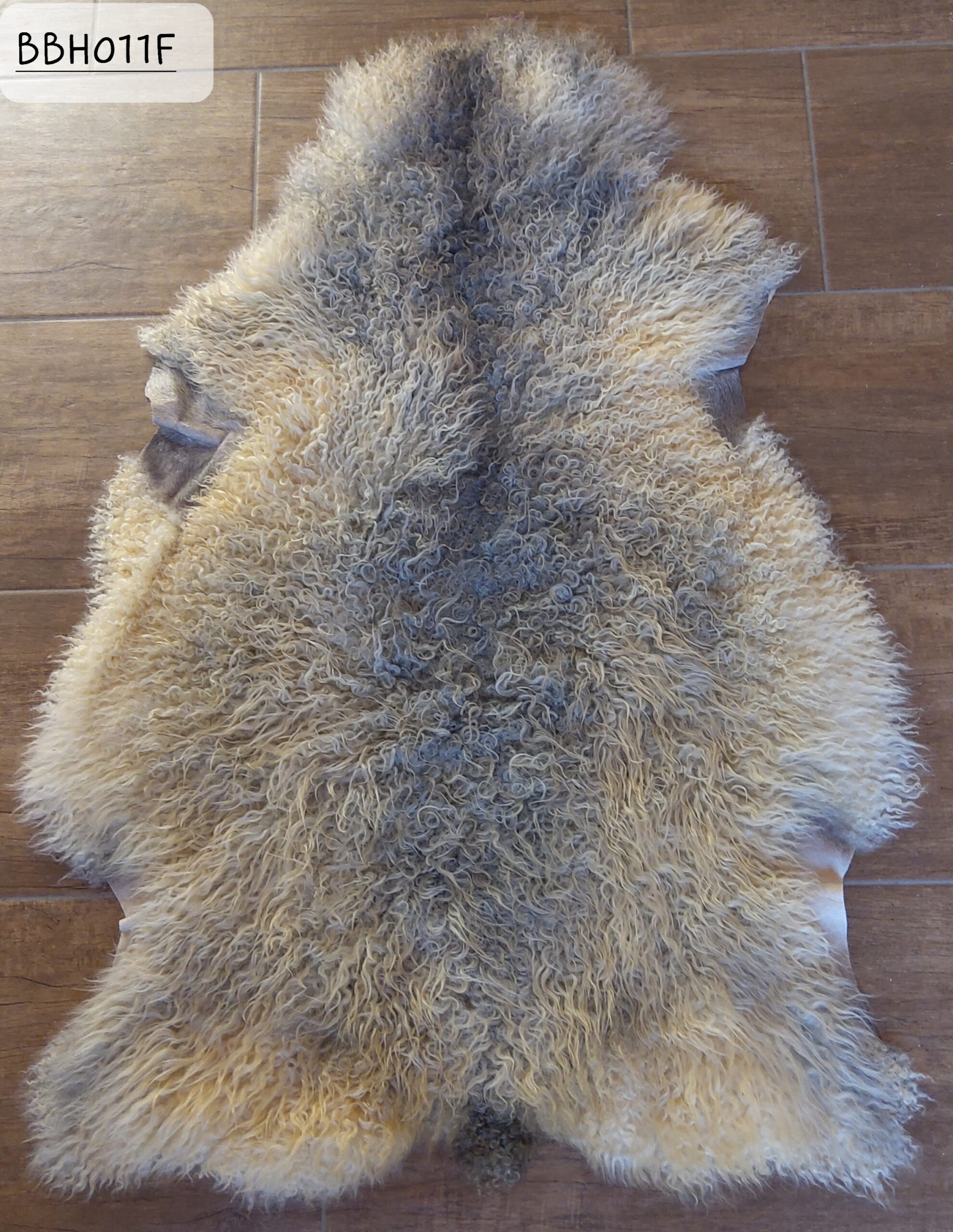 Fell Spaelsau/Gotland/Wensleydale "Pettersson"