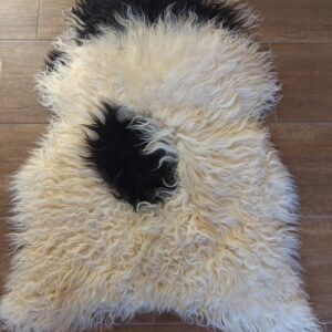 Fell norwegische Spaelsau "Paulchen"